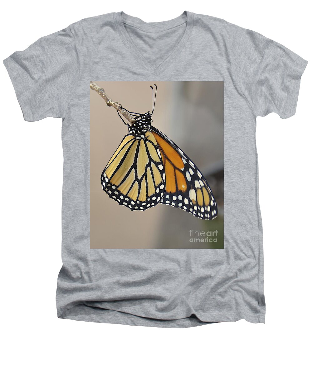 Butterfly Men's V-Neck T-Shirt featuring the photograph #6 Has Left the Building #6 by Carol Bradley