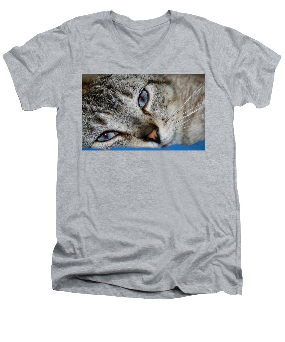 Cat Men's V-Neck T-Shirt featuring the photograph A Cat Named...Blue by Barbara S Nickerson