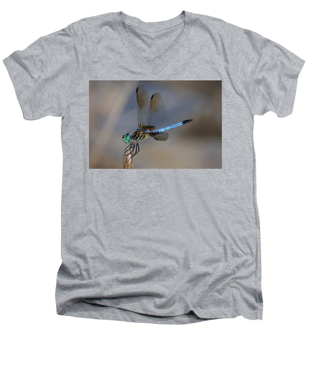 Dragonfly Men's V-Neck T-Shirt featuring the photograph A Dragonfly IV by Raymond Salani III