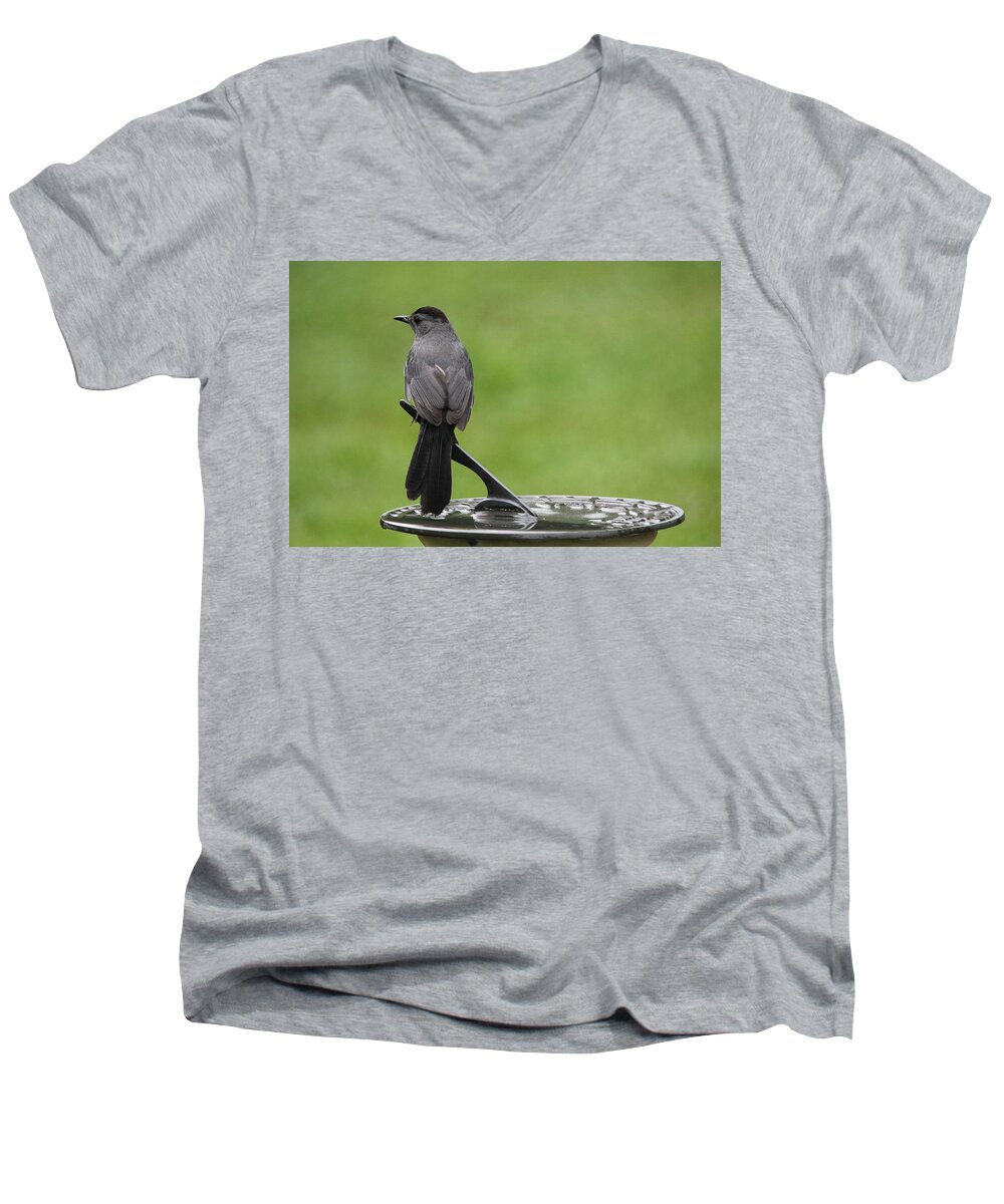 Gray Catbird Men's V-Neck T-Shirt featuring the photograph A Moment in Time by Trina Ansel