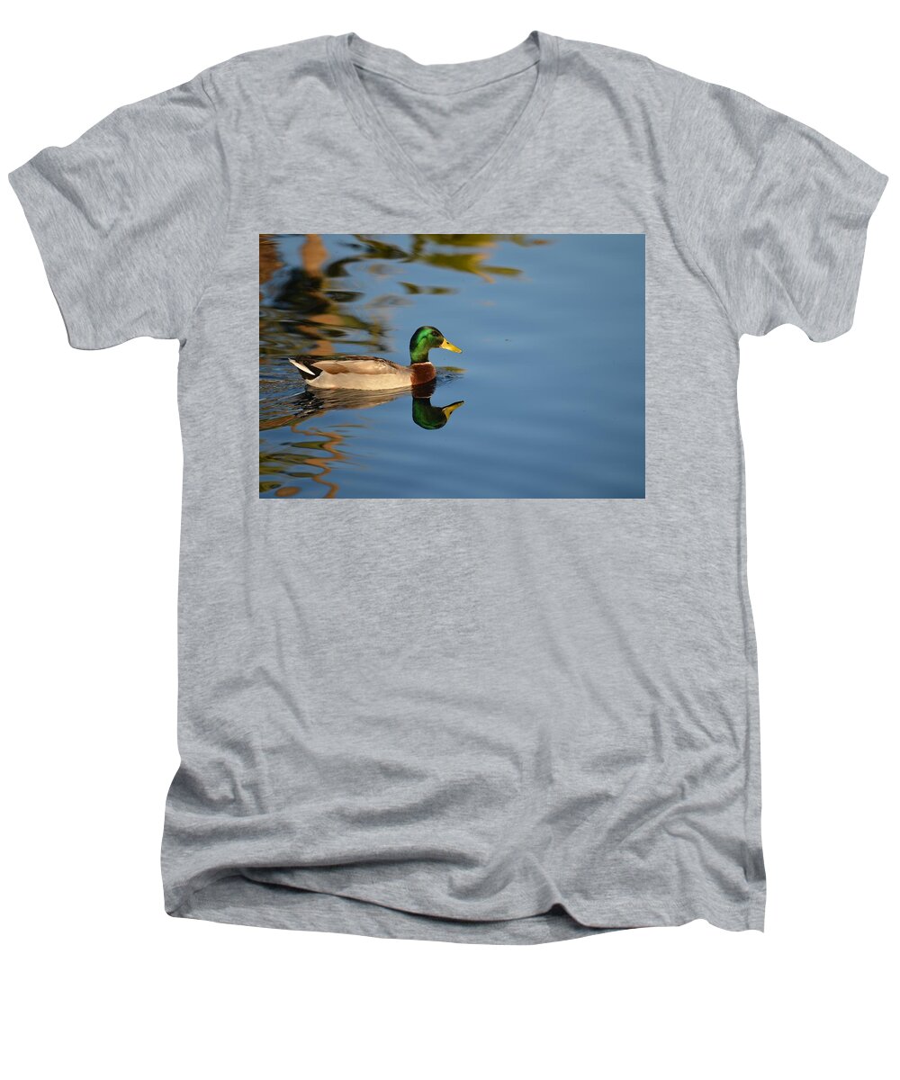 Mallard Men's V-Neck T-Shirt featuring the photograph Afternoon Solitude by Deb Halloran