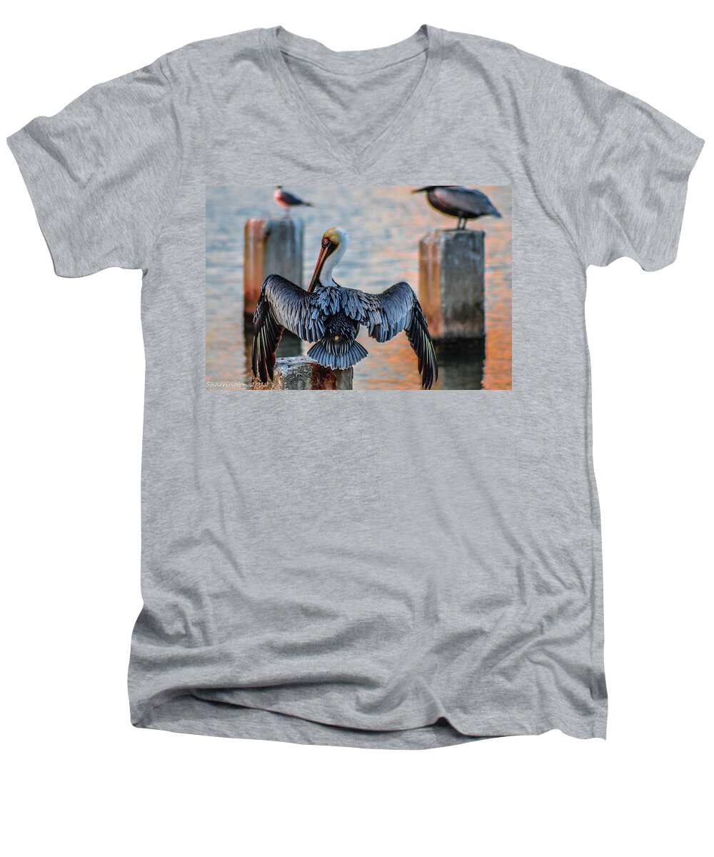 Pelican Men's V-Neck T-Shirt featuring the photograph Airing Out by Shannon Harrington