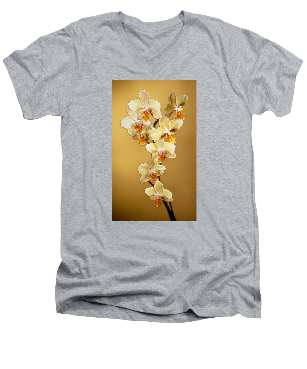 Phalaenopsis Men's V-Neck T-Shirt featuring the photograph Amber Phalaenopsis by Kirk Ellison