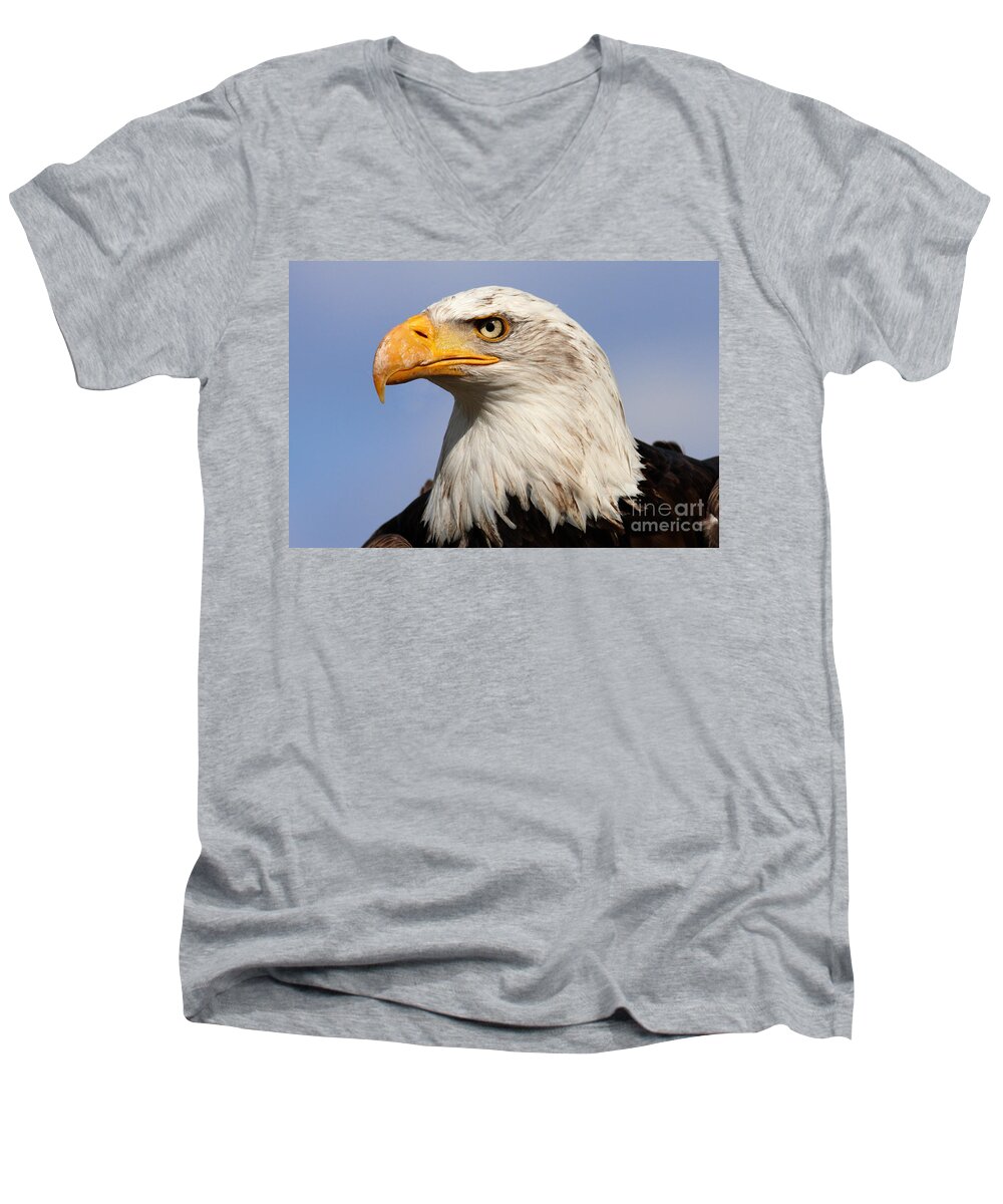 America Men's V-Neck T-Shirt featuring the photograph American Bald Eagle by Nick Biemans