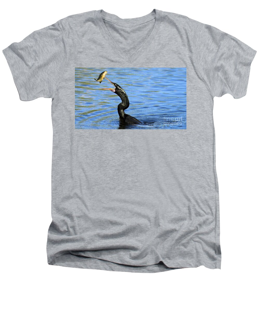 Everglades National Park Men's V-Neck T-Shirt featuring the photograph Anhinga Volley by Adam Jewell