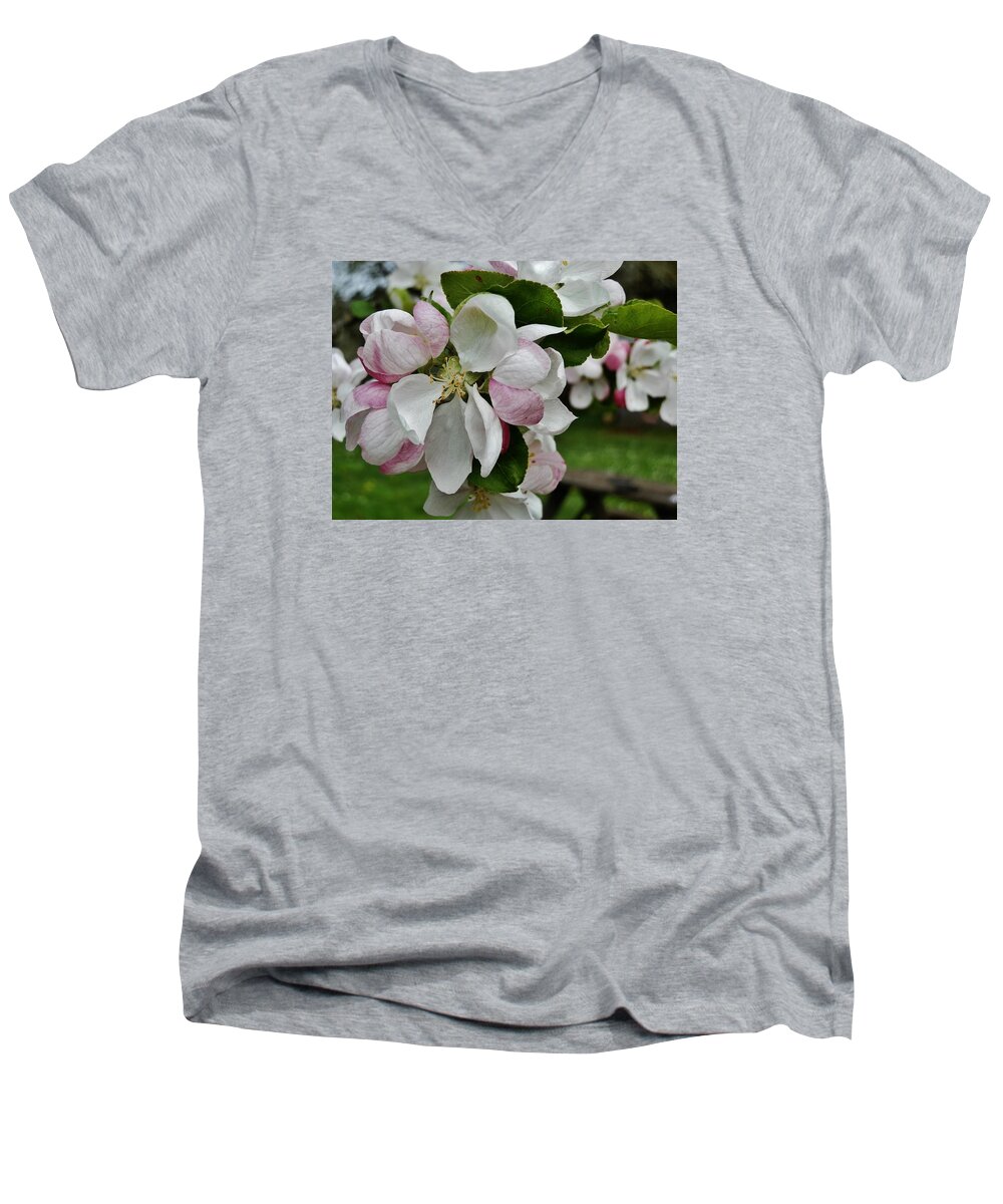 Blossoms Men's V-Neck T-Shirt featuring the photograph Apple Blossoms 2 by VLee Watson