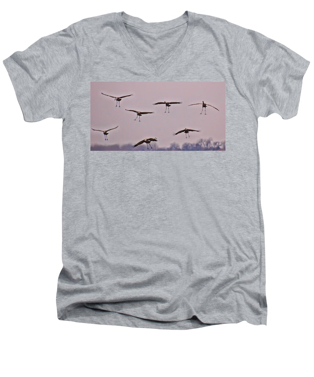 Cranes Men's V-Neck T-Shirt featuring the photograph Are You Sure this is the Spot by Don Schwartz