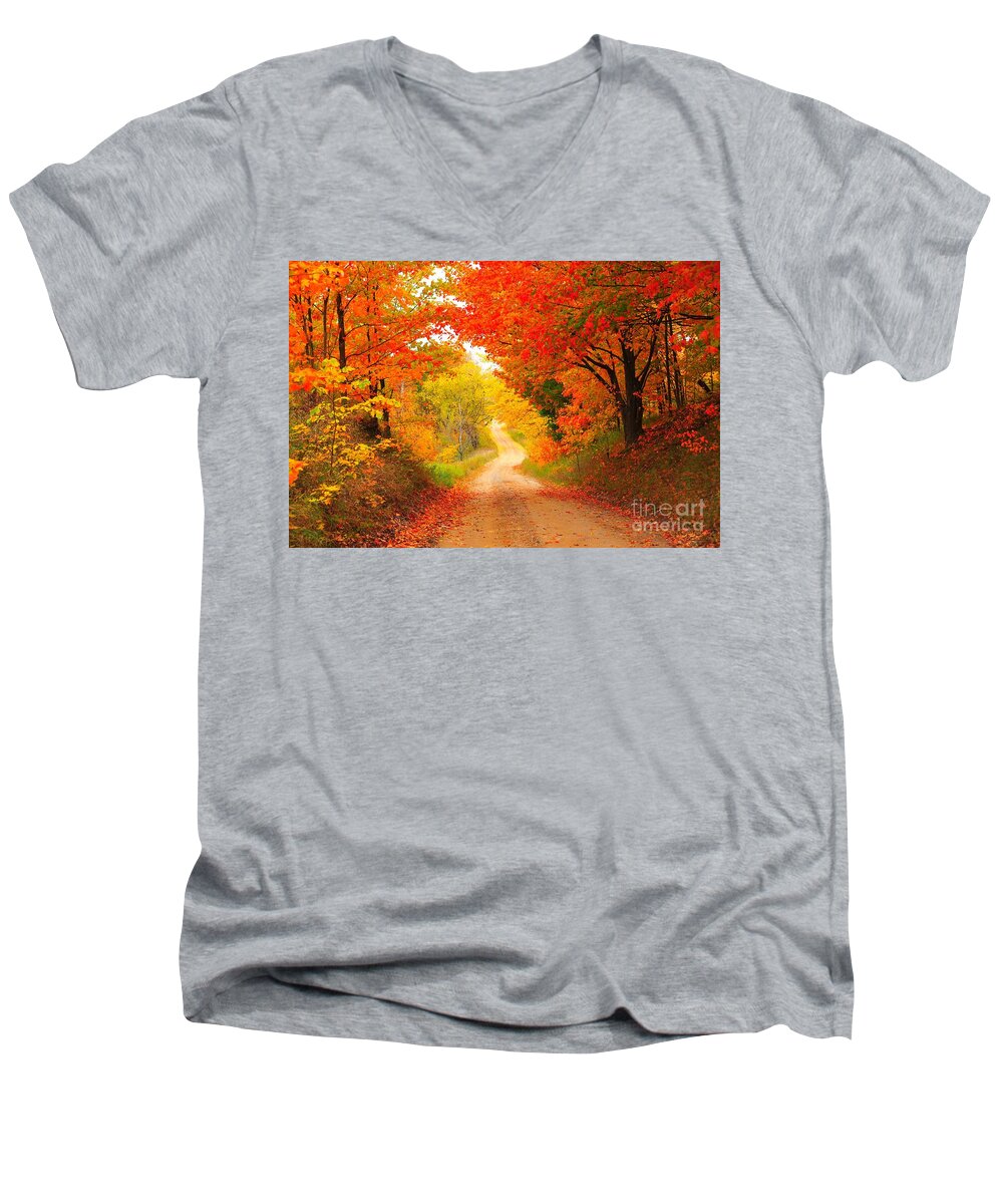 Autumn Men's V-Neck T-Shirt featuring the photograph Autumn Cameo 2 by Terri Gostola