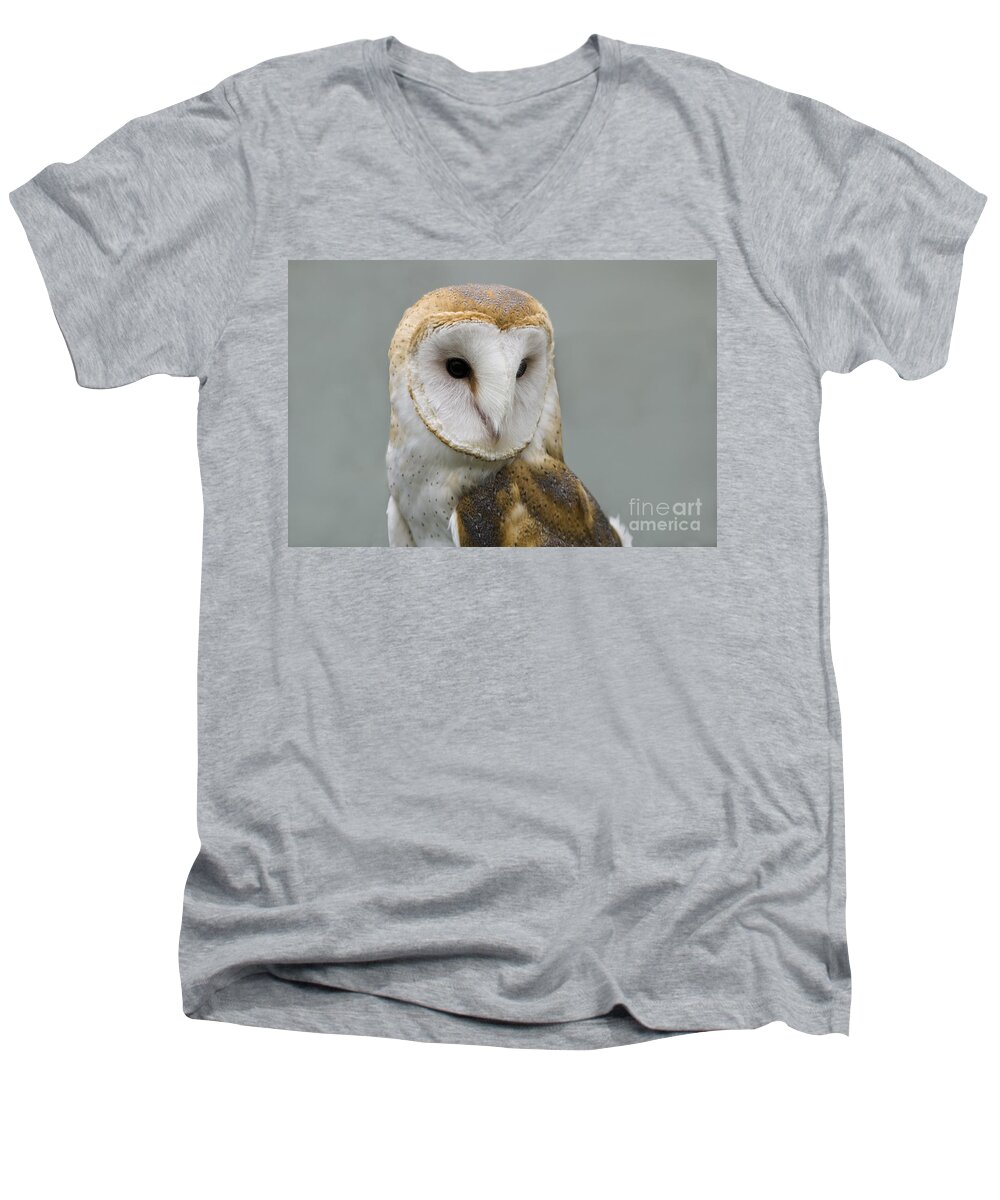 Barn Owl Men's V-Neck T-Shirt featuring the photograph Barn Owl No. 7 by John Greco