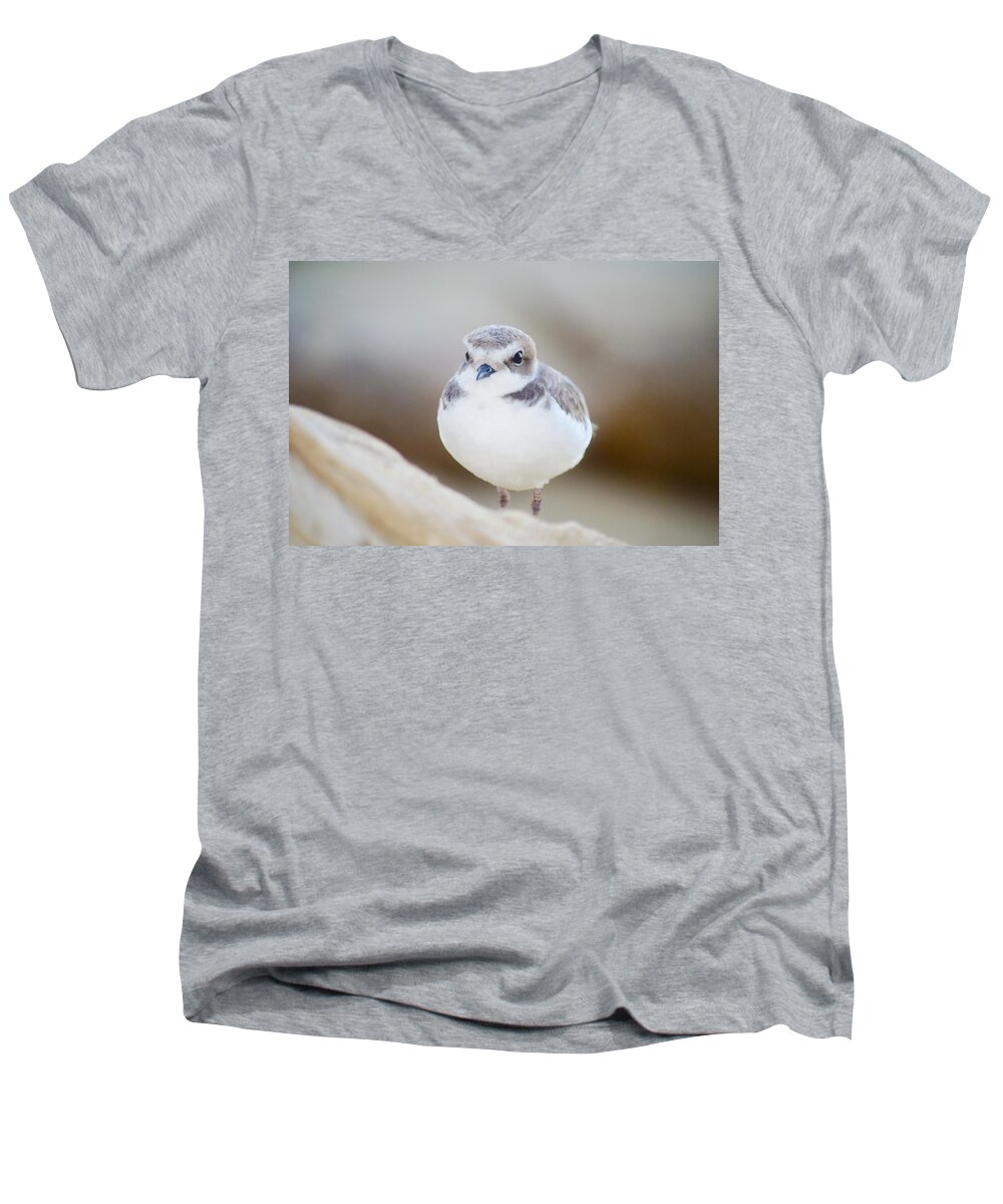 I Love Birds And Find Them Majestic Creatures. Men's V-Neck T-Shirt featuring the photograph Beautiful Bird by Spencer Hughes