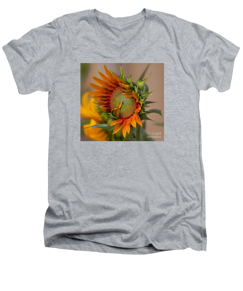John+kolenberg Men's V-Neck T-Shirt featuring the photograph Beautiful Sunflower by John Kolenberg