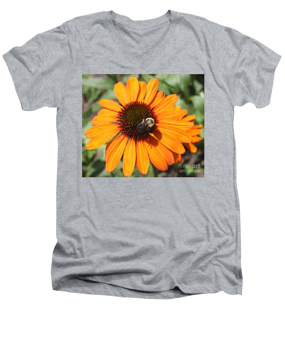 Bee On Flower Men's V-Neck T-Shirt featuring the photograph Bee on Flower by John Telfer