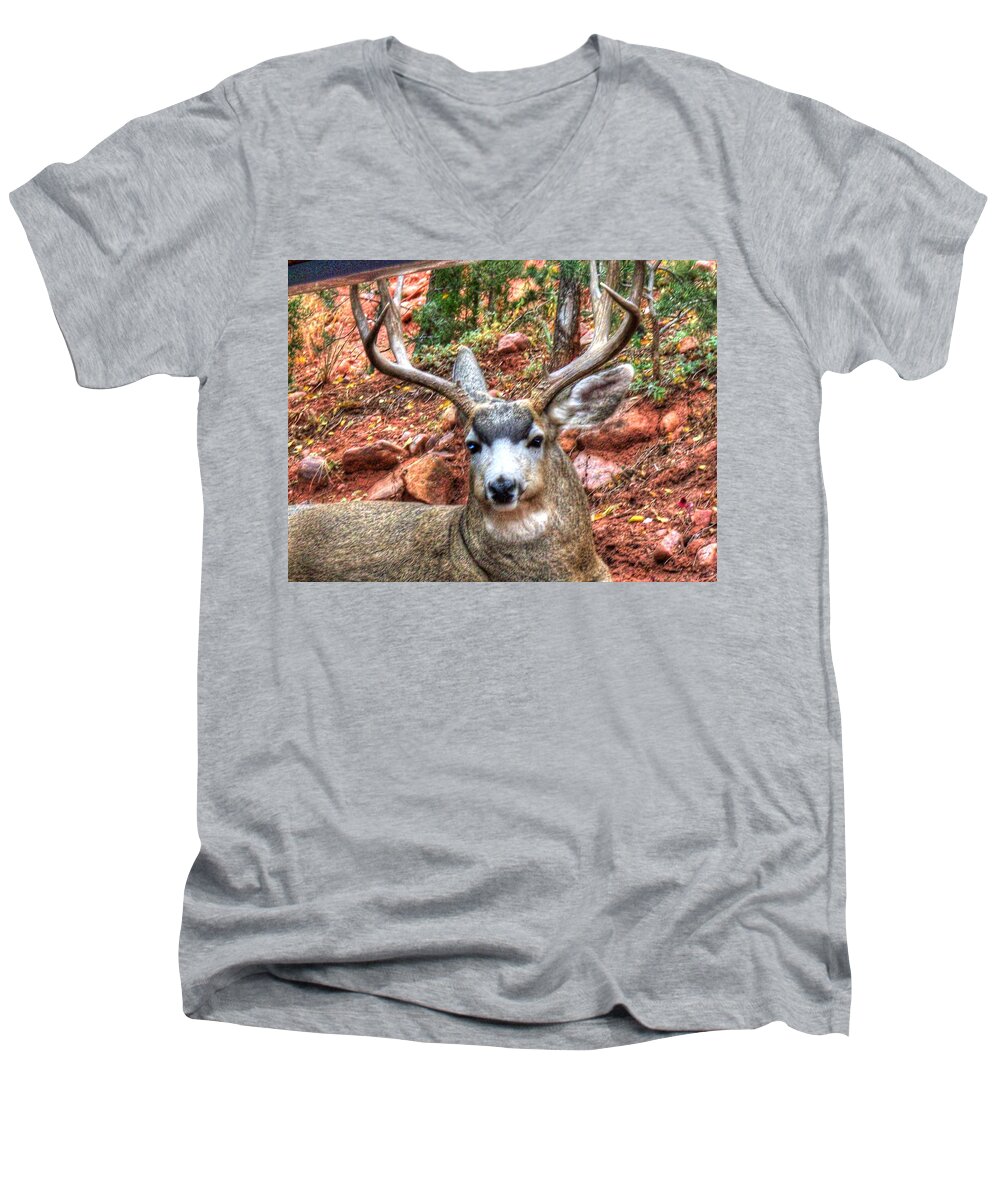 Deer Men's V-Neck T-Shirt featuring the photograph Blue-Eyed Deer by Lanita Williams