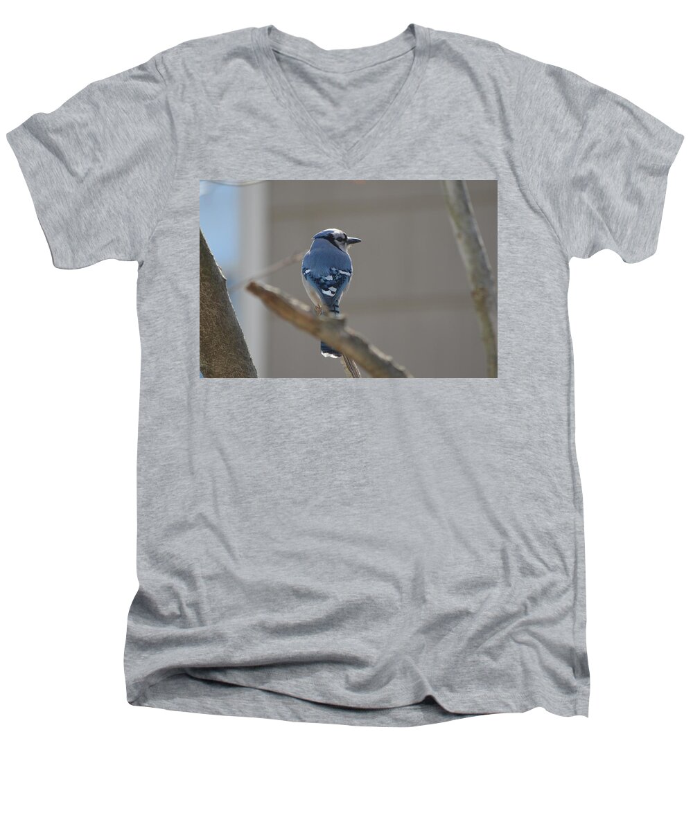 Blue Jay Men's V-Neck T-Shirt featuring the photograph Blue Jay by James Petersen