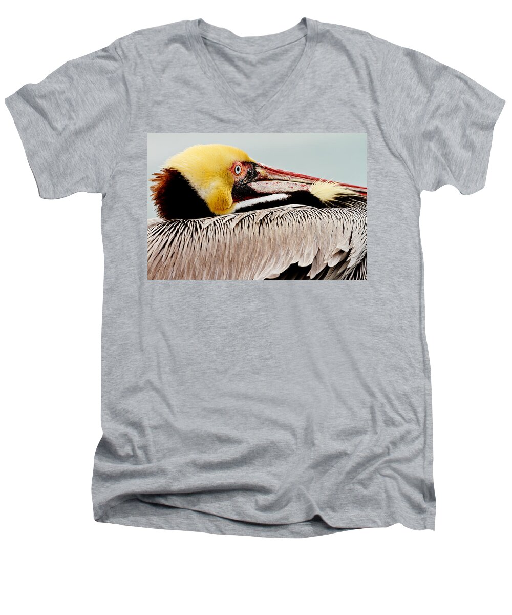 Brown Pelican Men's V-Neck T-Shirt featuring the photograph Brown Pelican Profile by Ben Graham