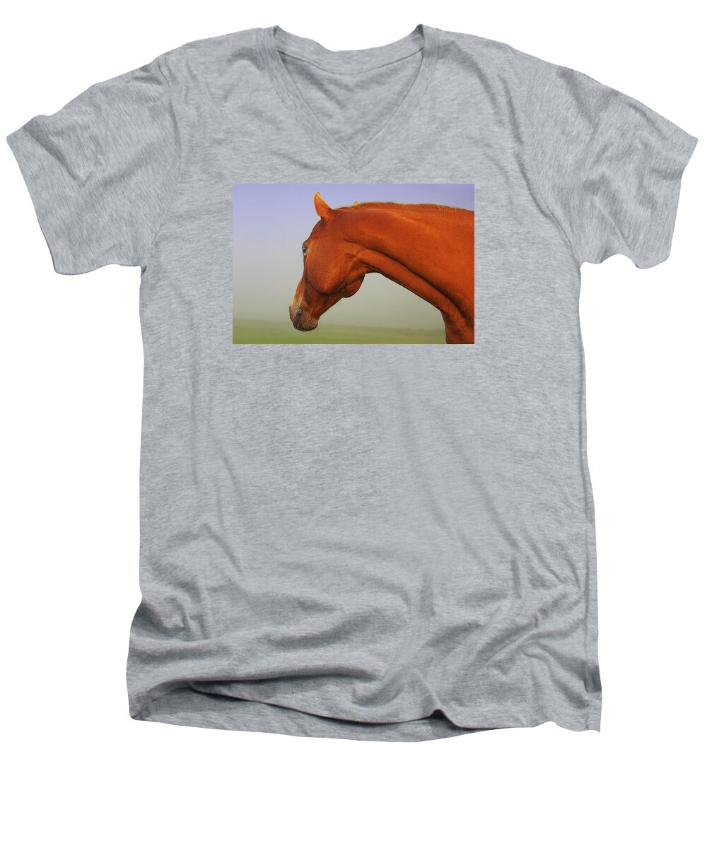 Horse Imagery Men's V-Neck T-Shirt featuring the photograph Chestnut by David Davies