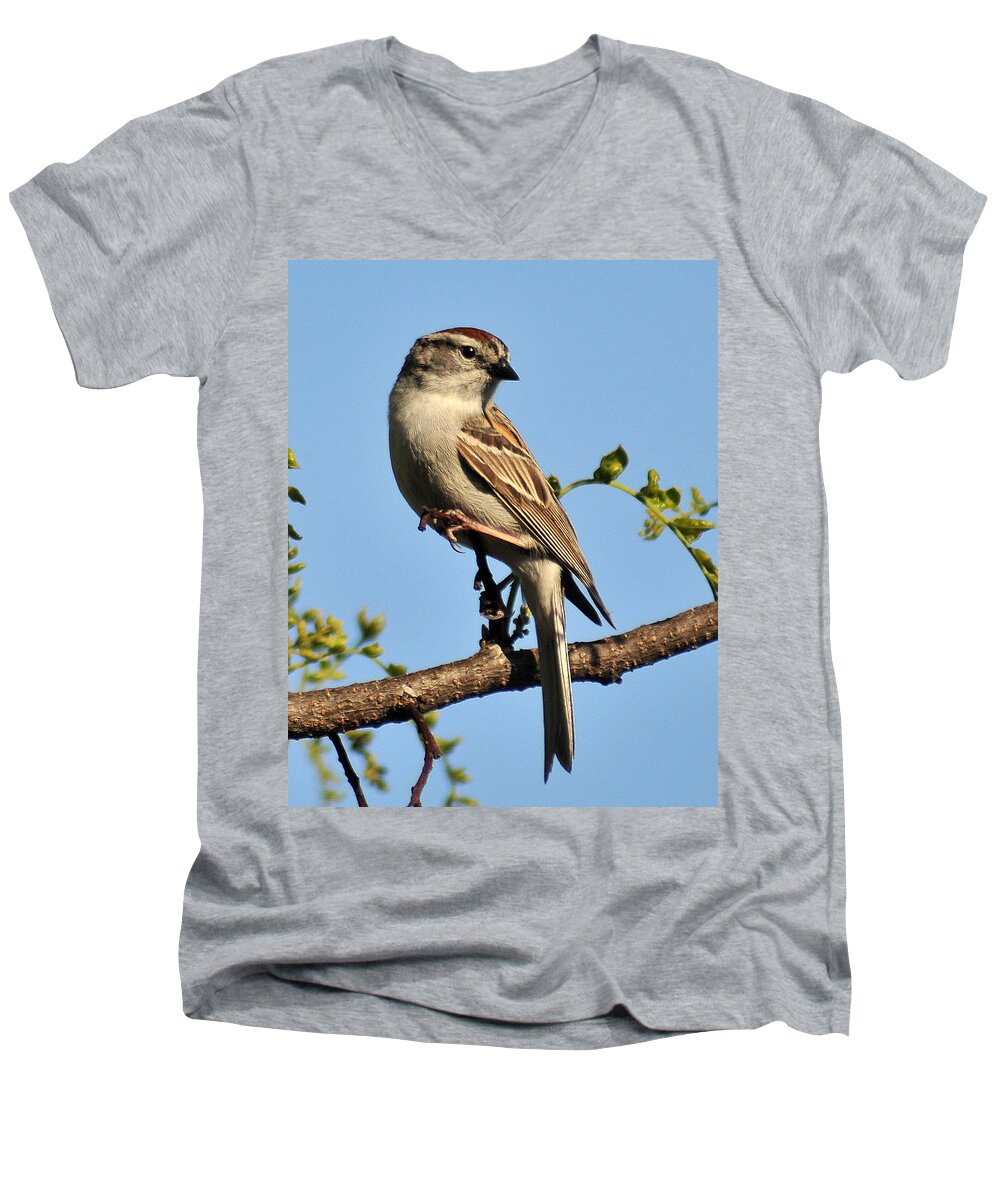 Sparrow Men's V-Neck T-Shirt featuring the photograph Chipping Sparrow 246 by Gene Tatroe