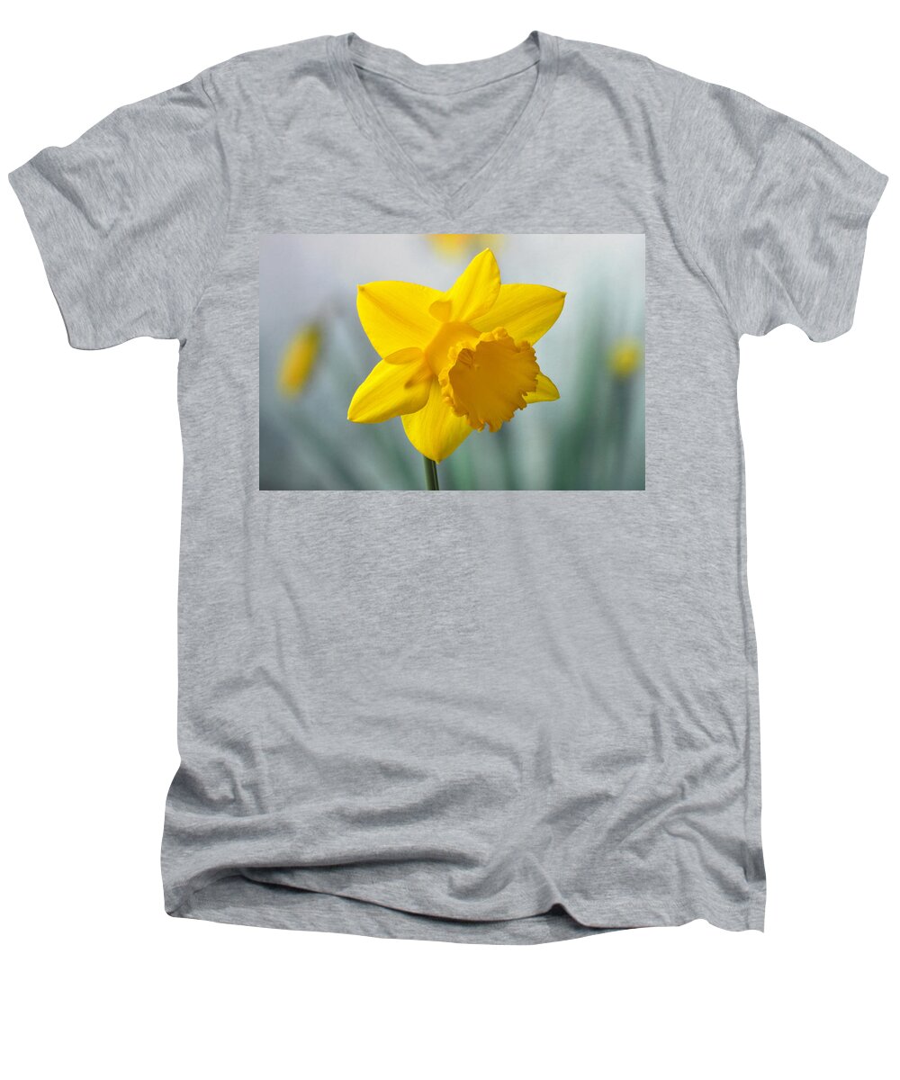 Daffodil Men's V-Neck T-Shirt featuring the photograph Classic Spring Daffodil by Terence Davis