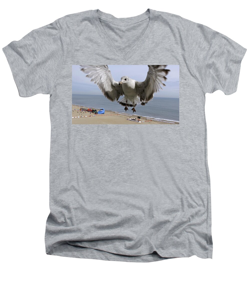 Virginia Beach Men's V-Neck T-Shirt featuring the photograph Closeup Of Hovering Seagull by Rick Rosenshein