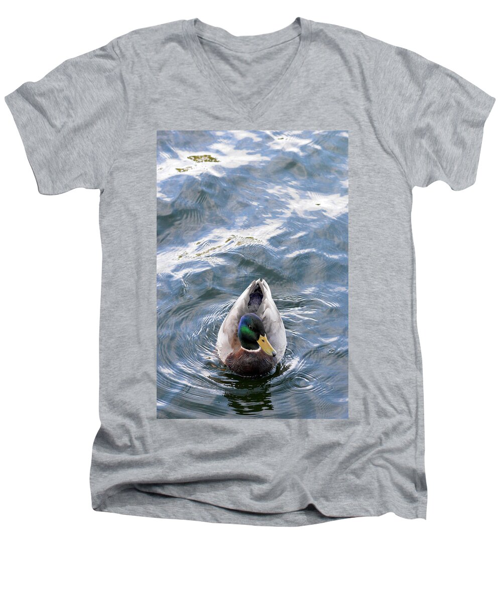 Duck Men's V-Neck T-Shirt featuring the photograph Curious Duck by Michael McGowan