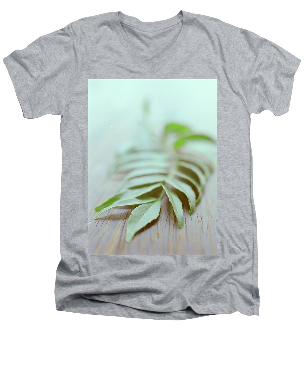 Cooking Men's V-Neck T-Shirt featuring the photograph Curry Leaves by Romulo Yanes