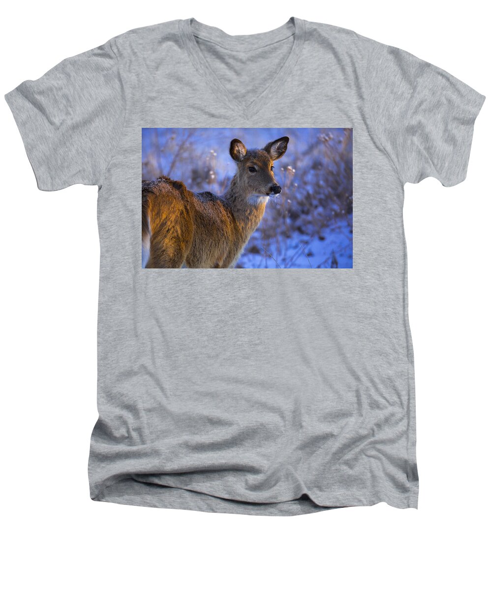Wildlife Men's V-Neck T-Shirt featuring the photograph December morning by Jeff Shumaker