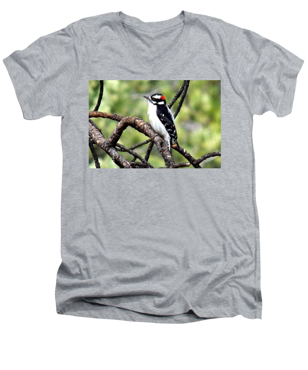 Colorado Men's V-Neck T-Shirt featuring the photograph Downy Woodpecker by Marilyn Burton