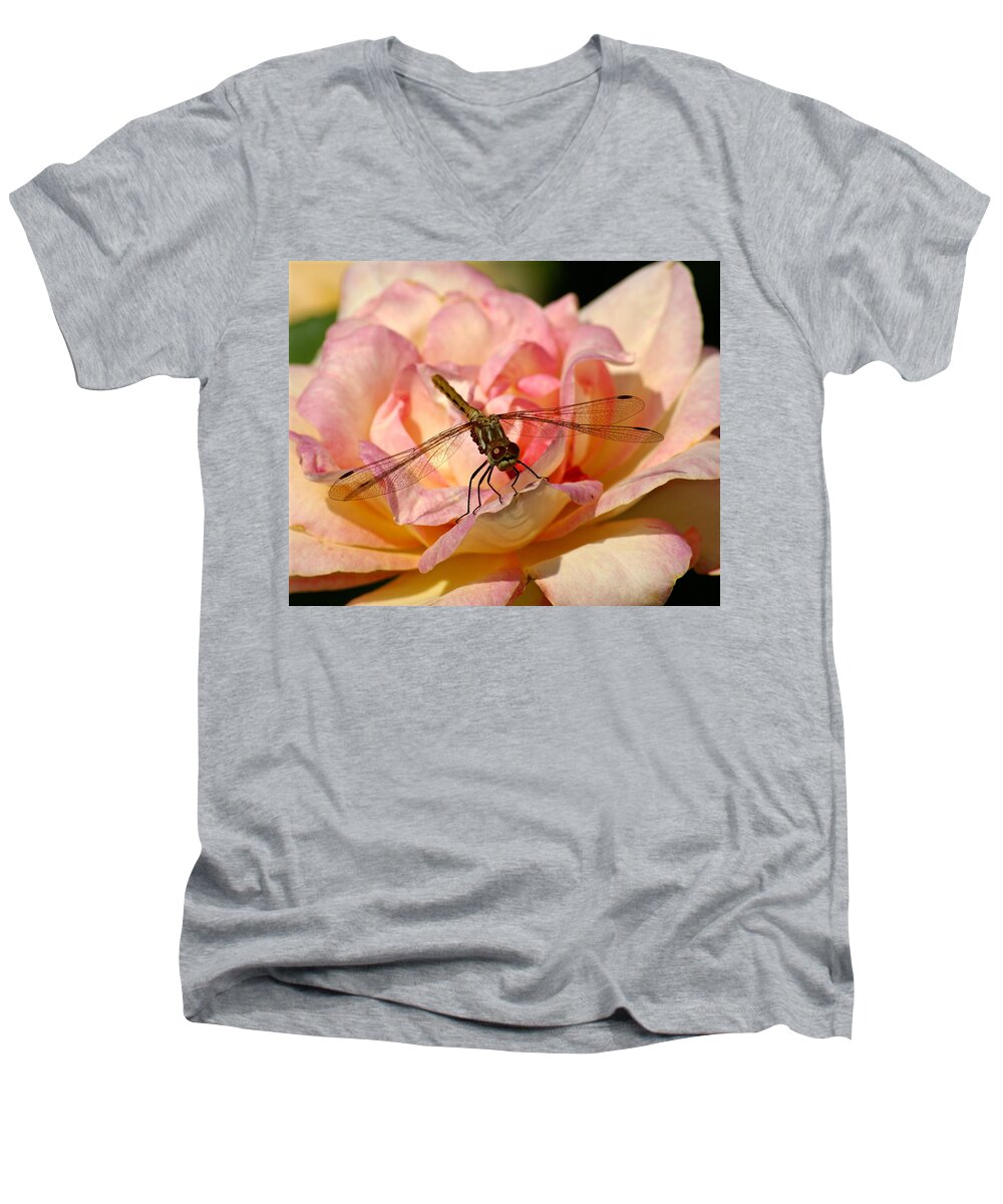 Dragonflies Men's V-Neck T-Shirt featuring the photograph Dragonfly on a Rose by Ben Upham III