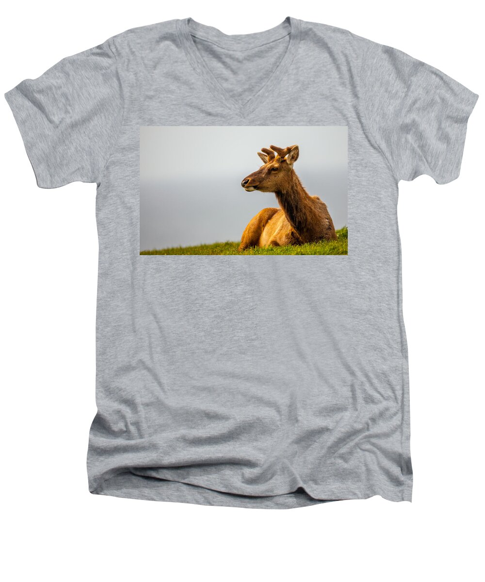 Big Horn Sheep Men's V-Neck T-Shirt featuring the photograph Drake Elk by Kevin Dietrich