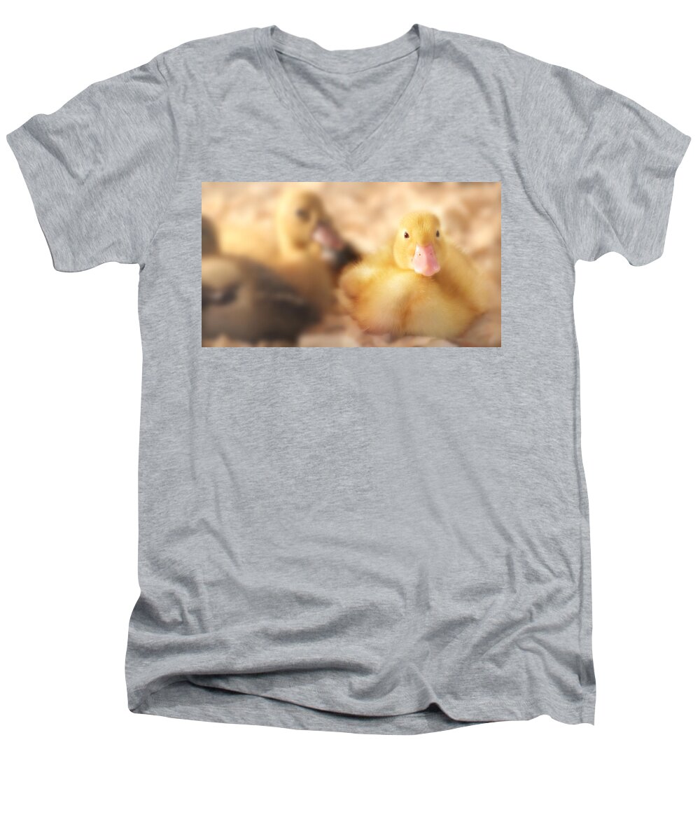 Duck Men's V-Neck T-Shirt featuring the photograph Duckling by Shelley Neff