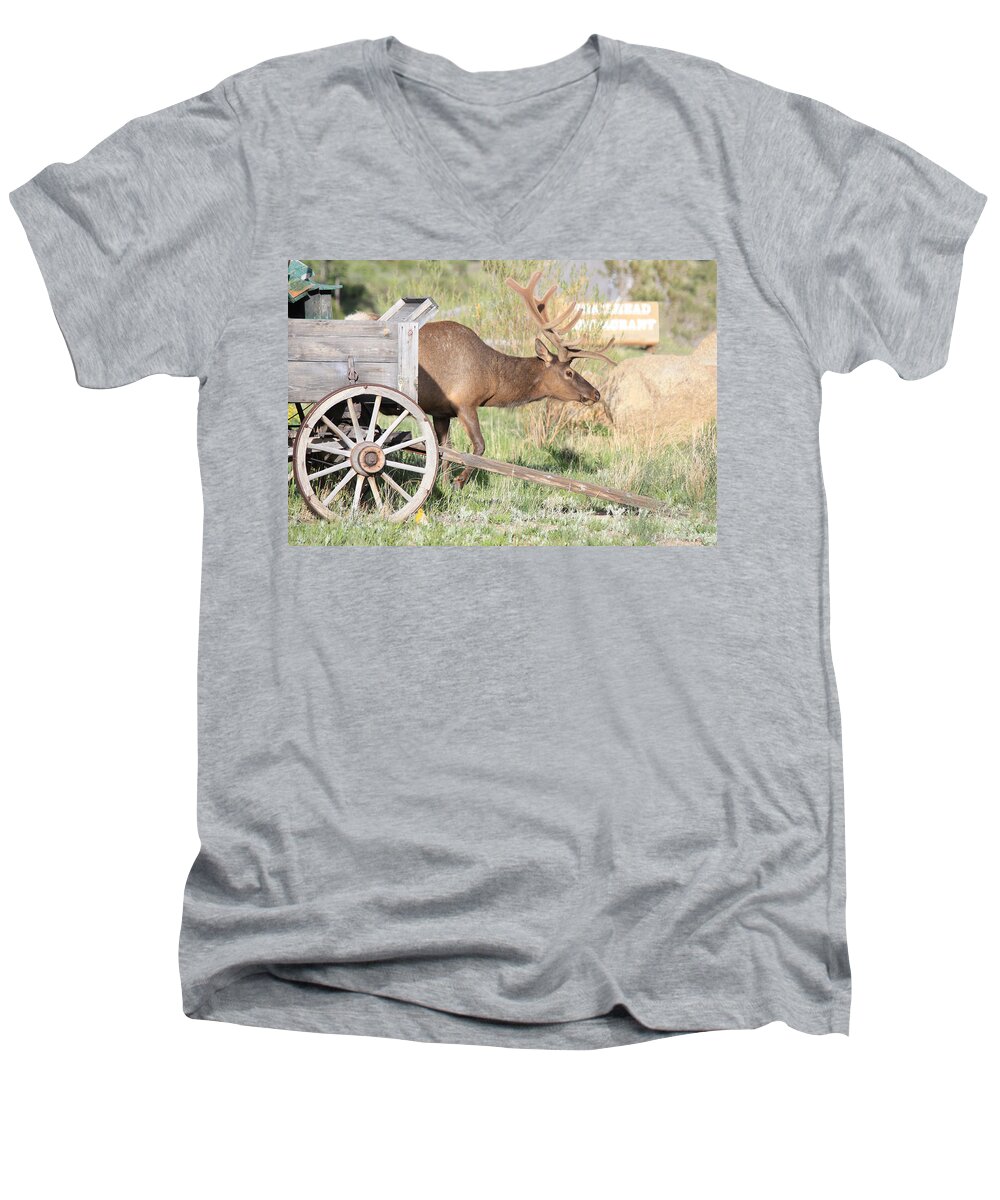 Elk Men's V-Neck T-Shirt featuring the photograph Elk Drawn Carriage by Shane Bechler