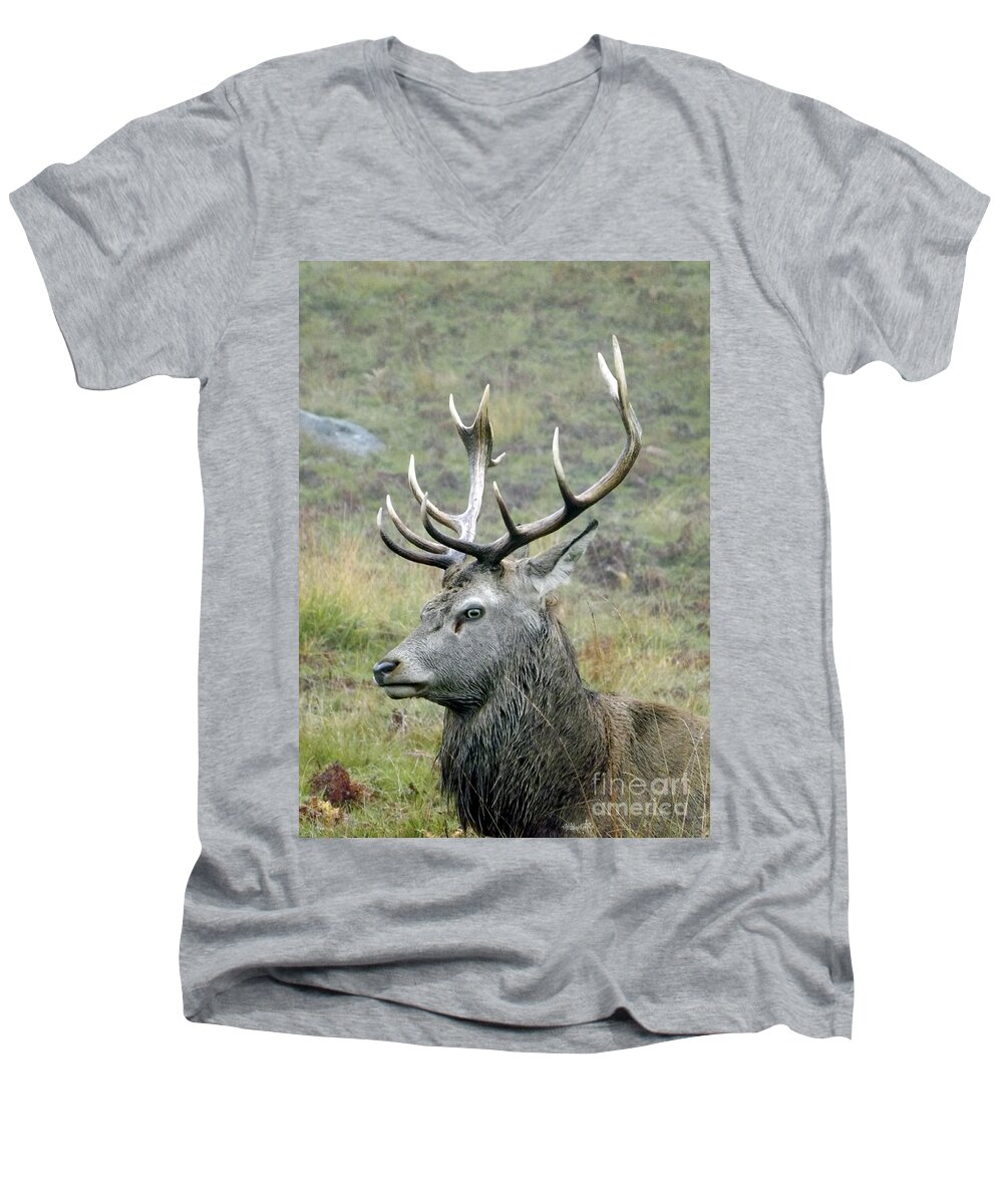 Deer Men's V-Neck T-Shirt featuring the photograph Stag Party The series Father To Be. by Linsey Williams
