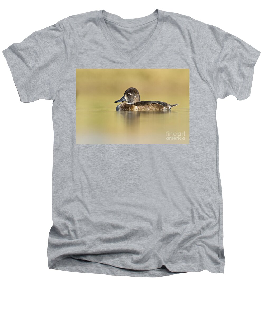 Duck Men's V-Neck T-Shirt featuring the photograph Female Ring necked duck by Bryan Keil