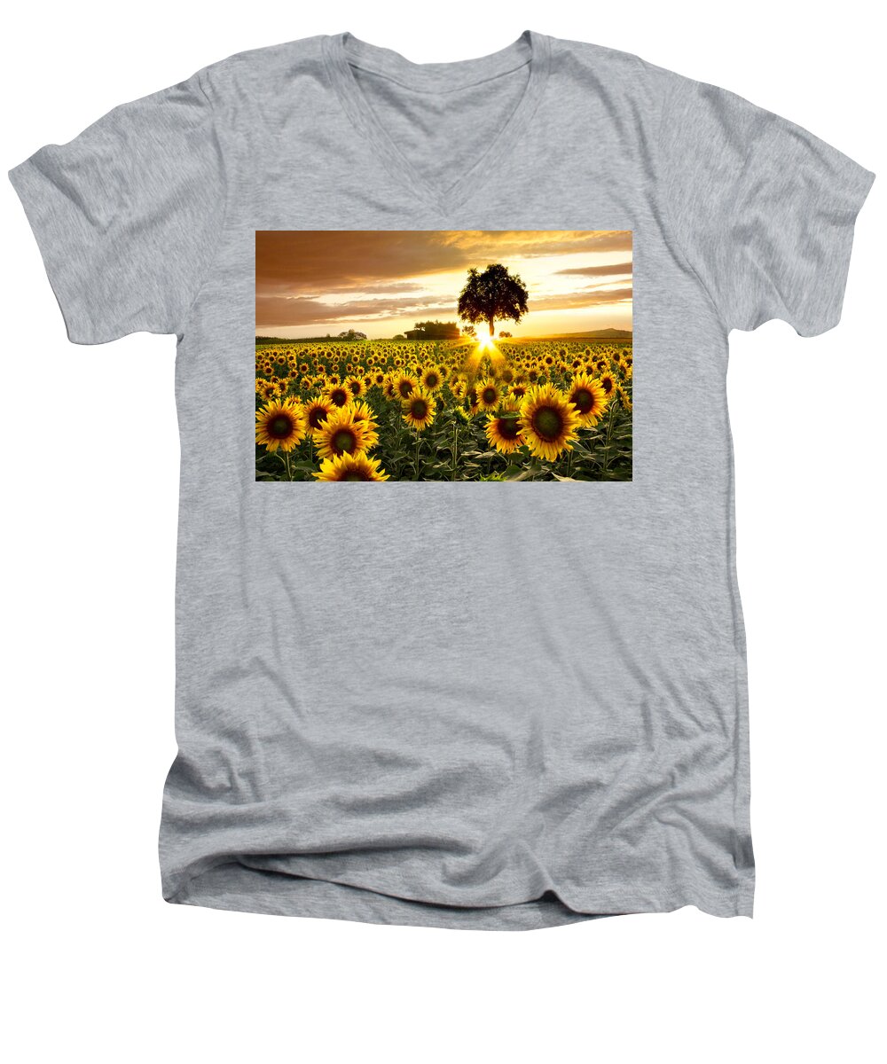 Appalachia Men's V-Neck T-Shirt featuring the photograph Fields of Gold by Debra and Dave Vanderlaan