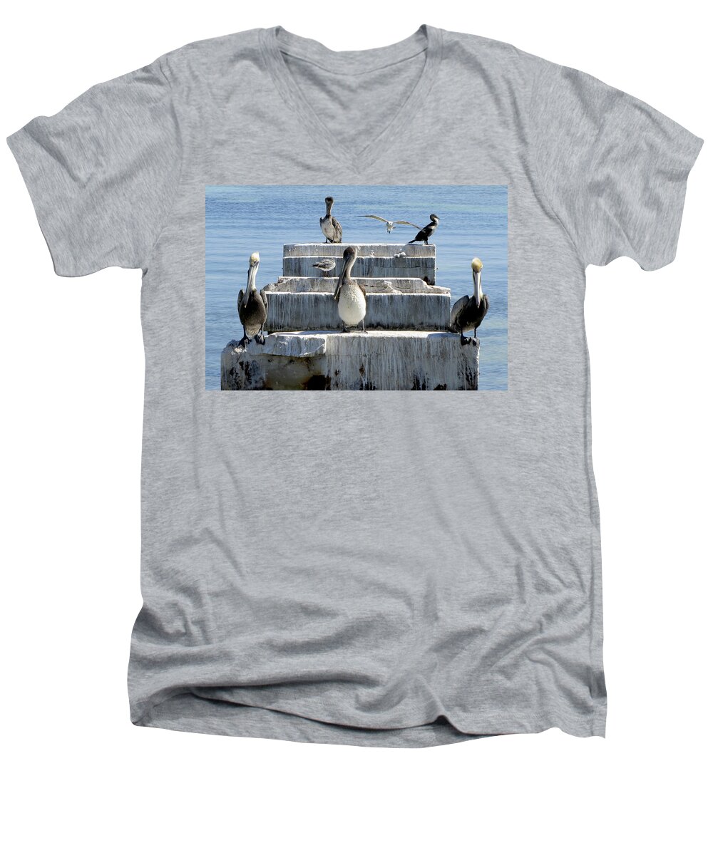 Pelican Men's V-Neck T-Shirt featuring the photograph Pelican Friends by Bob Slitzan