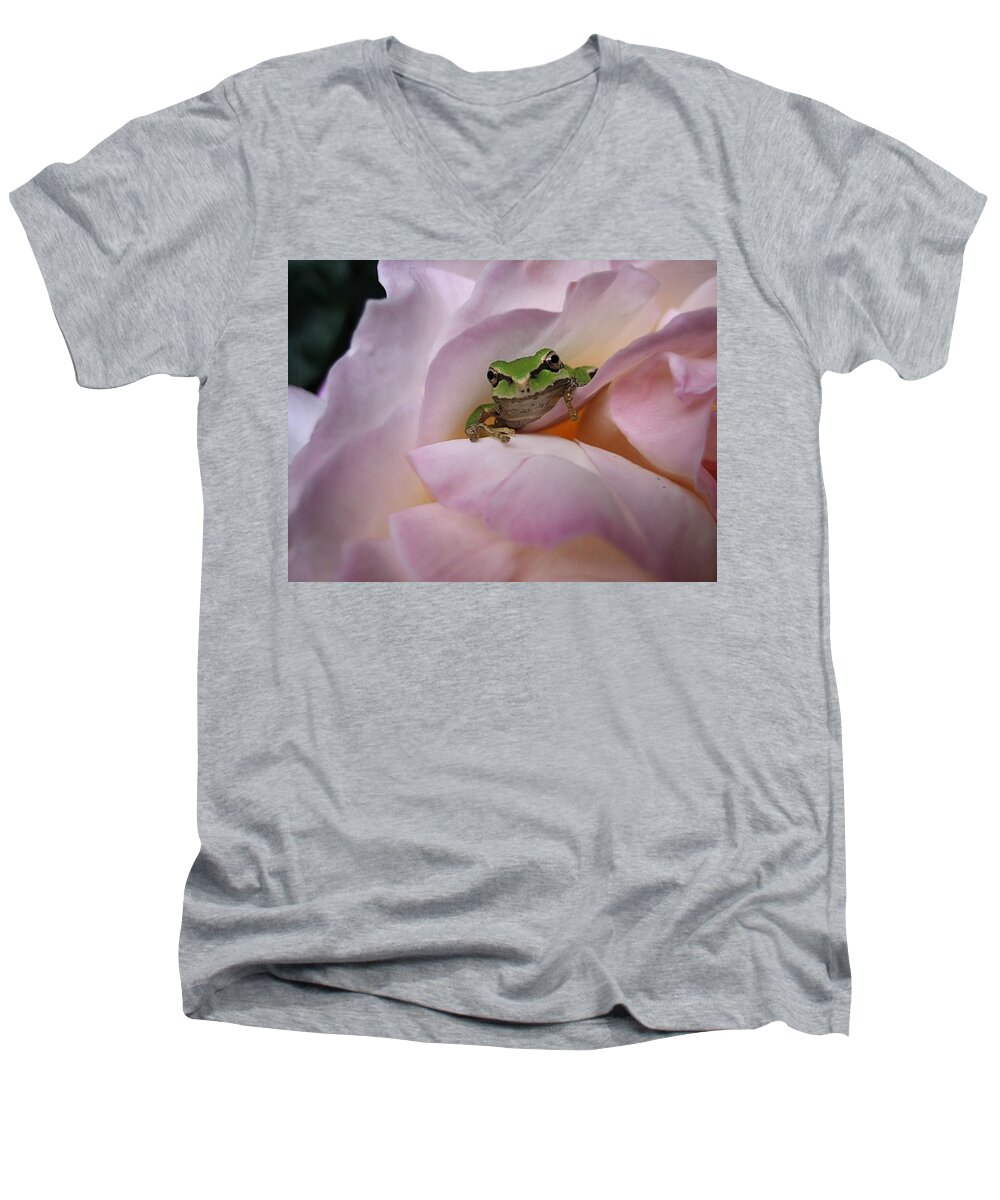 Chorus Frog Men's V-Neck T-Shirt featuring the photograph Frog and Rose photo 1 by Cheryl Hoyle