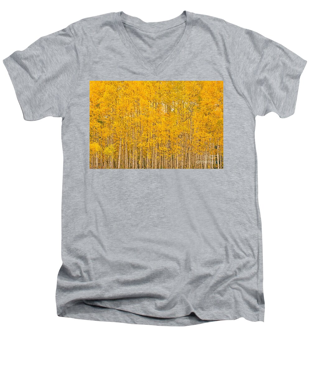 Aspen Men's V-Neck T-Shirt featuring the photograph Fullness of Gold by Kelly Black