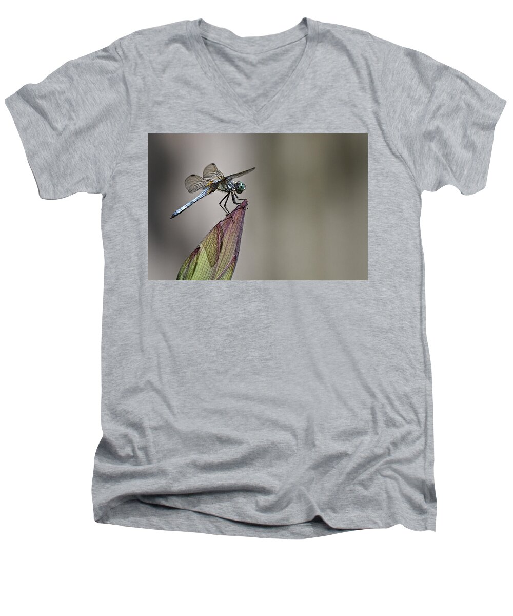 Get A Grip Men's V-Neck T-Shirt featuring the photograph Get A Grip by Wes and Dotty Weber