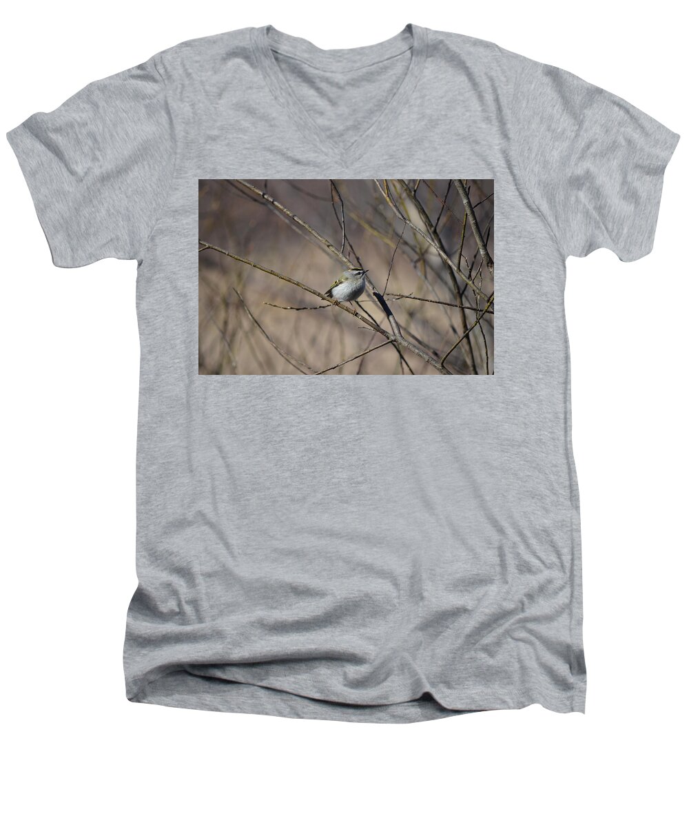Wildlife Men's V-Neck T-Shirt featuring the photograph Golden-crowned Kinglet by James Petersen