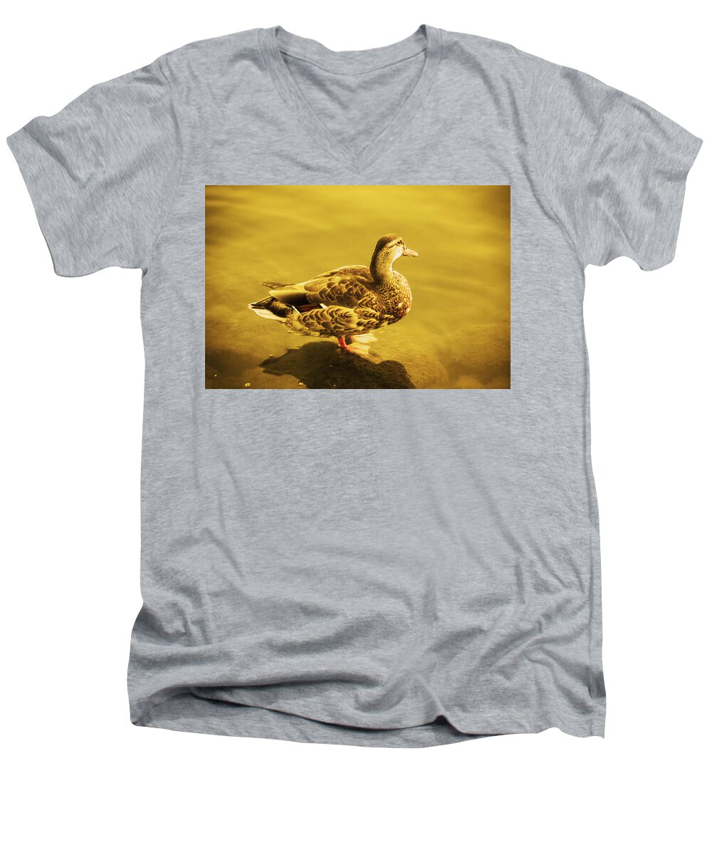 Photography Men's V-Neck T-Shirt featuring the photograph Golden Duck by Nicola Nobile