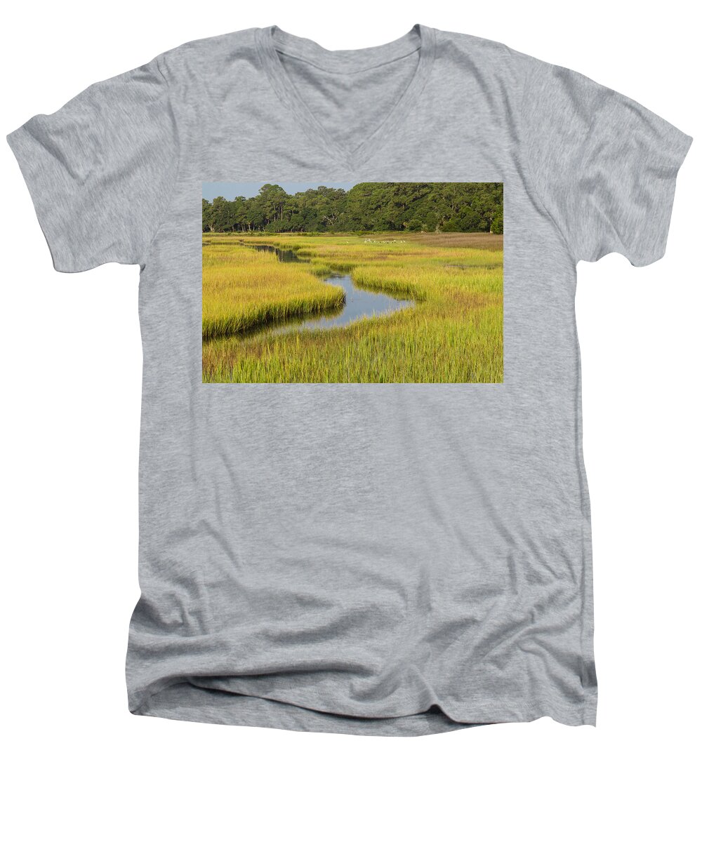 Marsh Men's V-Neck T-Shirt featuring the photograph Golden Marsh by Patricia Schaefer