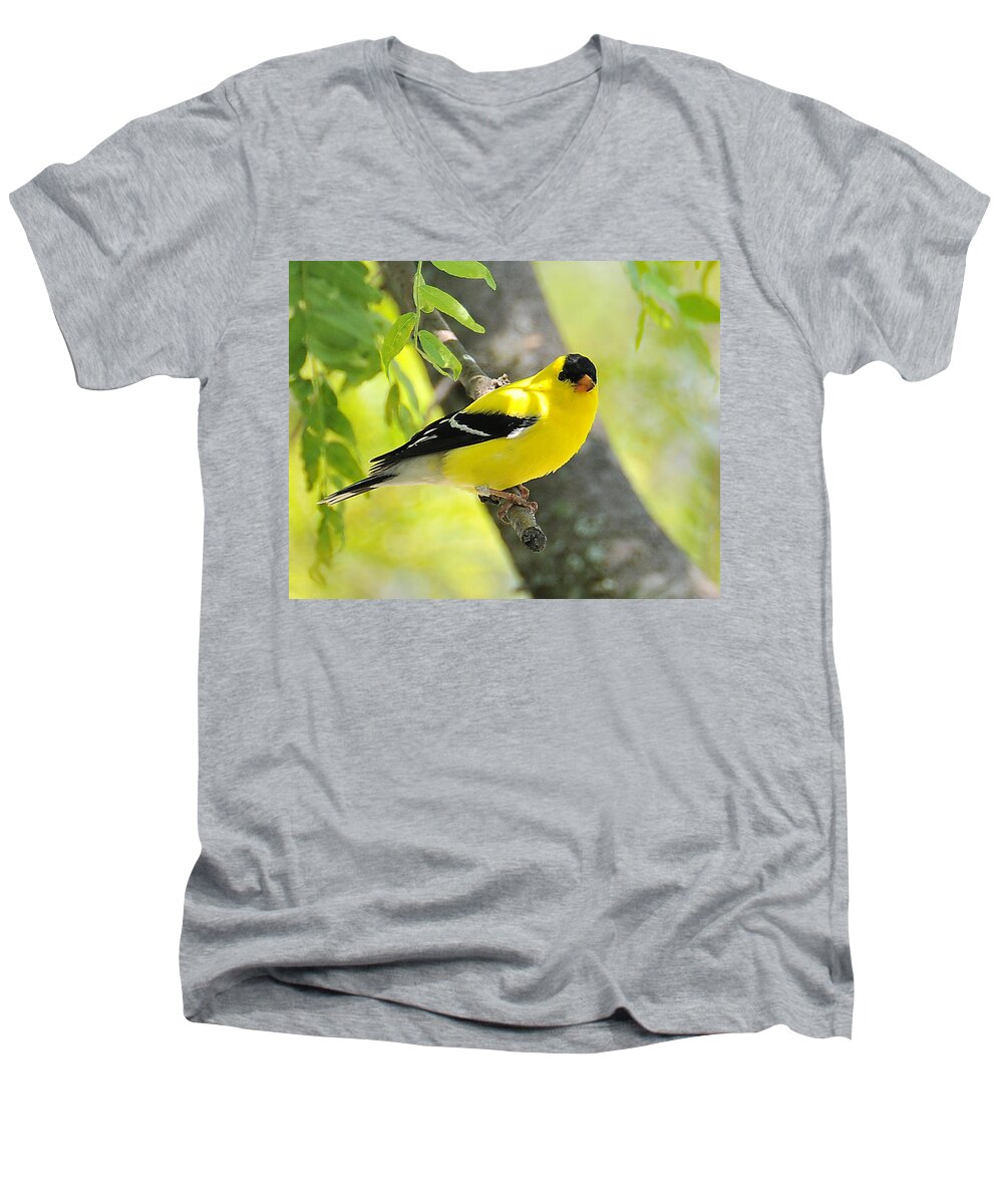 Goldfinch Men's V-Neck T-Shirt featuring the photograph Goldfinch 299 by Gene Tatroe