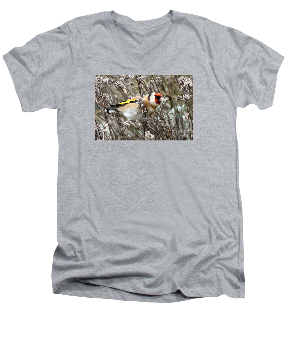 Bird Men's V-Neck T-Shirt featuring the photograph Goldfinch by Terri Waters