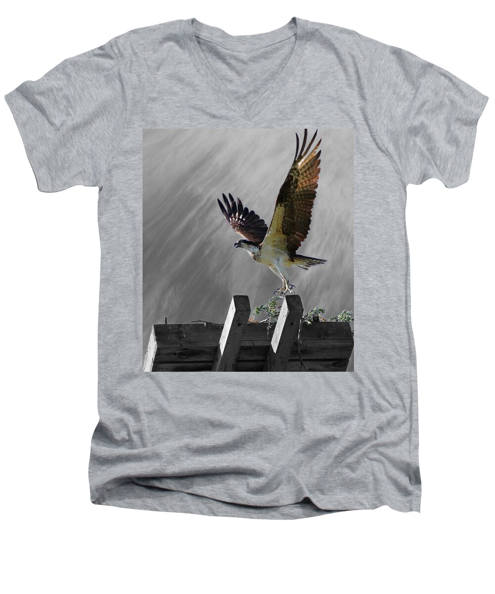Bird Men's V-Neck T-Shirt featuring the photograph Grand Ole Osprey by Davandra Cribbie