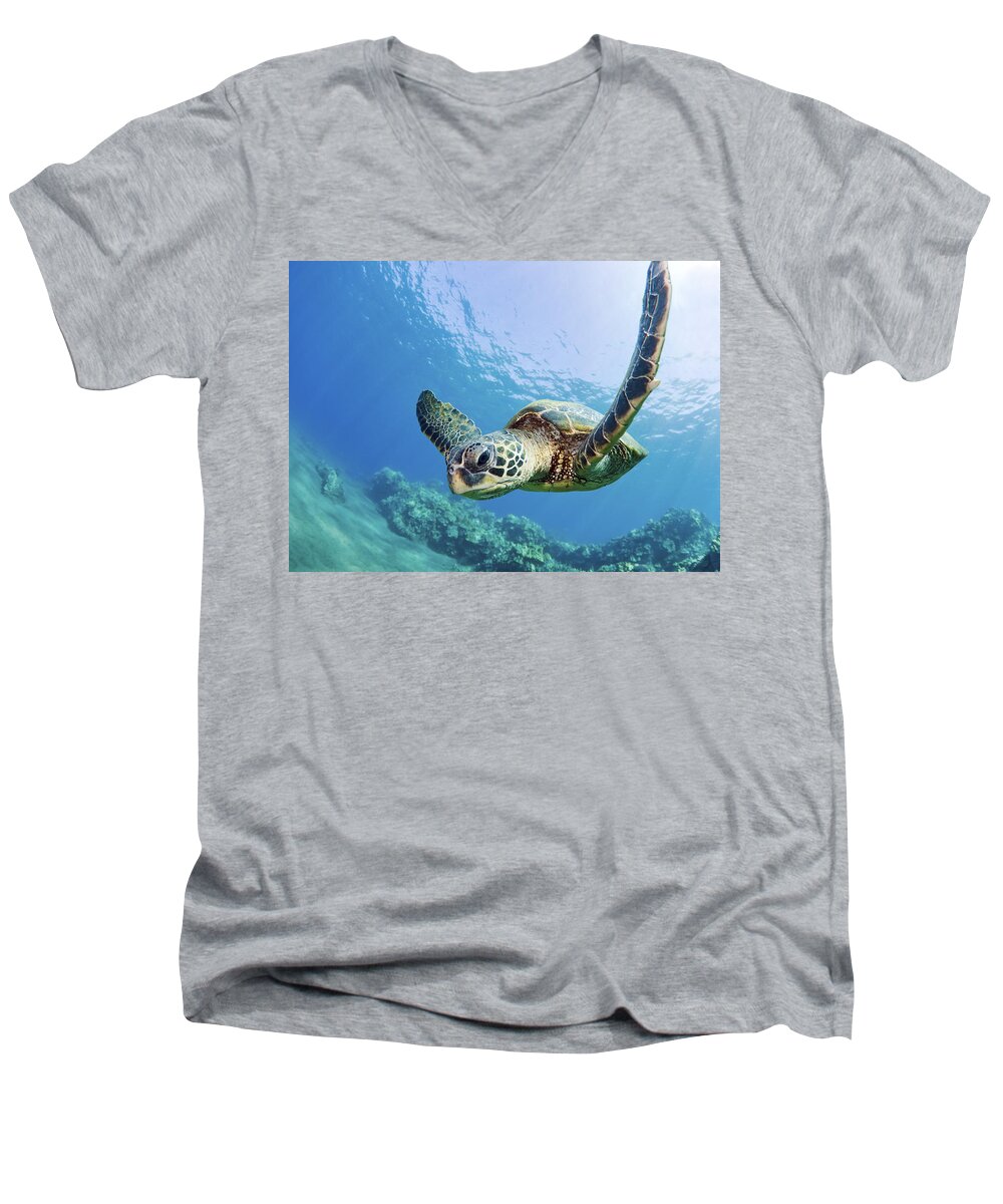 Animal Men's V-Neck T-Shirt featuring the photograph Green Sea Turtle - Maui by M Swiet Productions