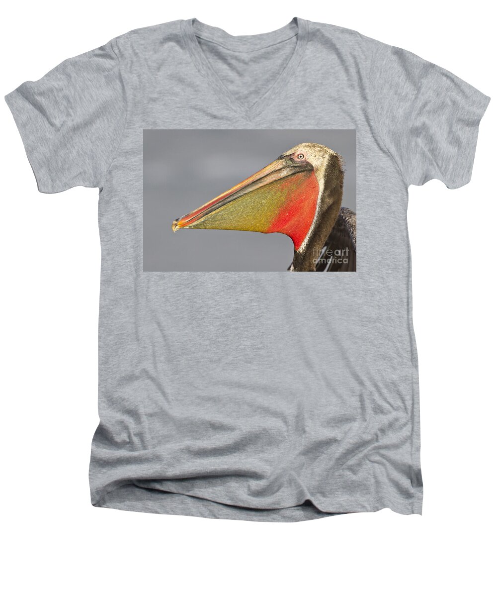 Pelican Men's V-Neck T-Shirt featuring the photograph Handsome in red Pelican by Bryan Keil