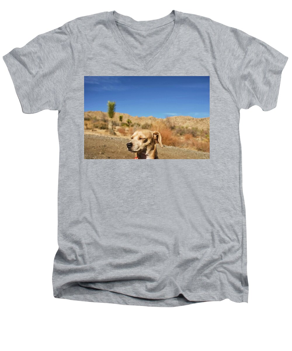 Princess Betty Biscuits Men's V-Neck T-Shirt featuring the photograph HeadachE by Angela J Wright