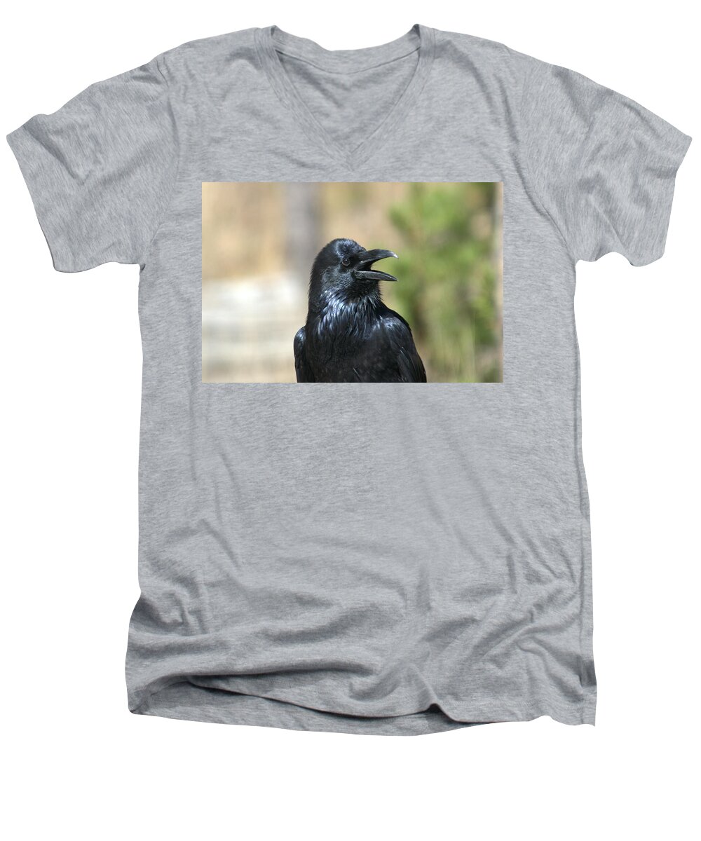 Raven Men's V-Neck T-Shirt featuring the photograph He's here somewhere by Frank Madia