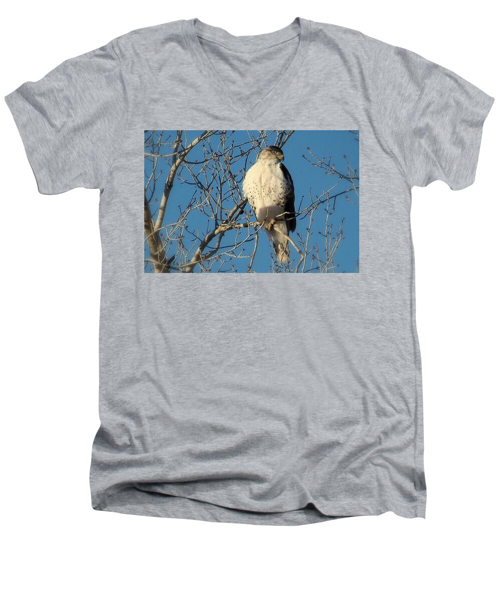 Hawk Men's V-Neck T-Shirt featuring the photograph His Watch.. by Al Swasey