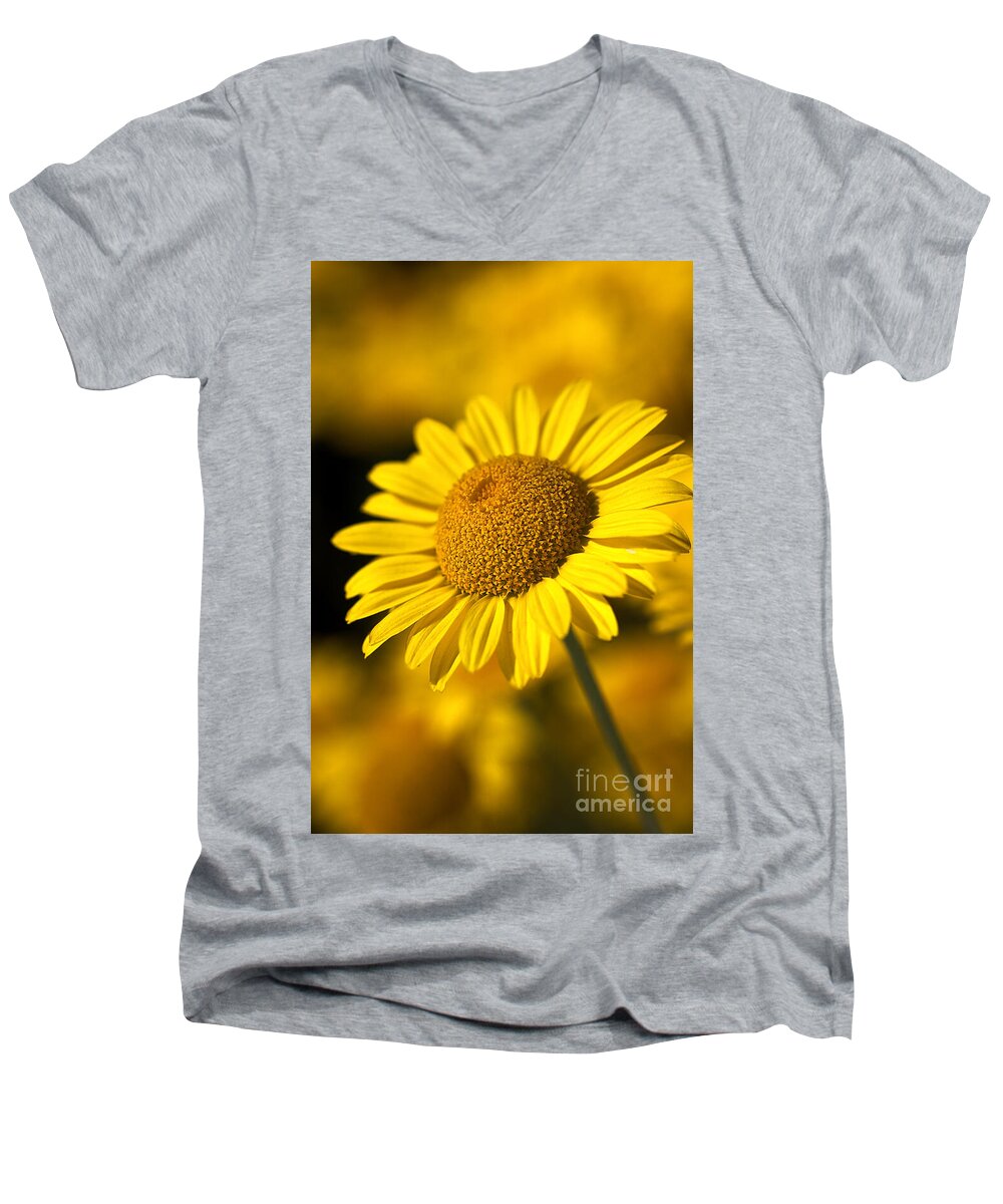 Daisy Men's V-Neck T-Shirt featuring the photograph Hot in the Sun by Joy Watson
